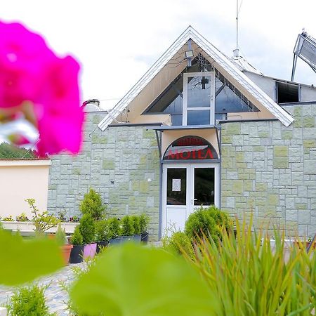 Hostel Shatrata Bogomilovo Екстер'єр фото